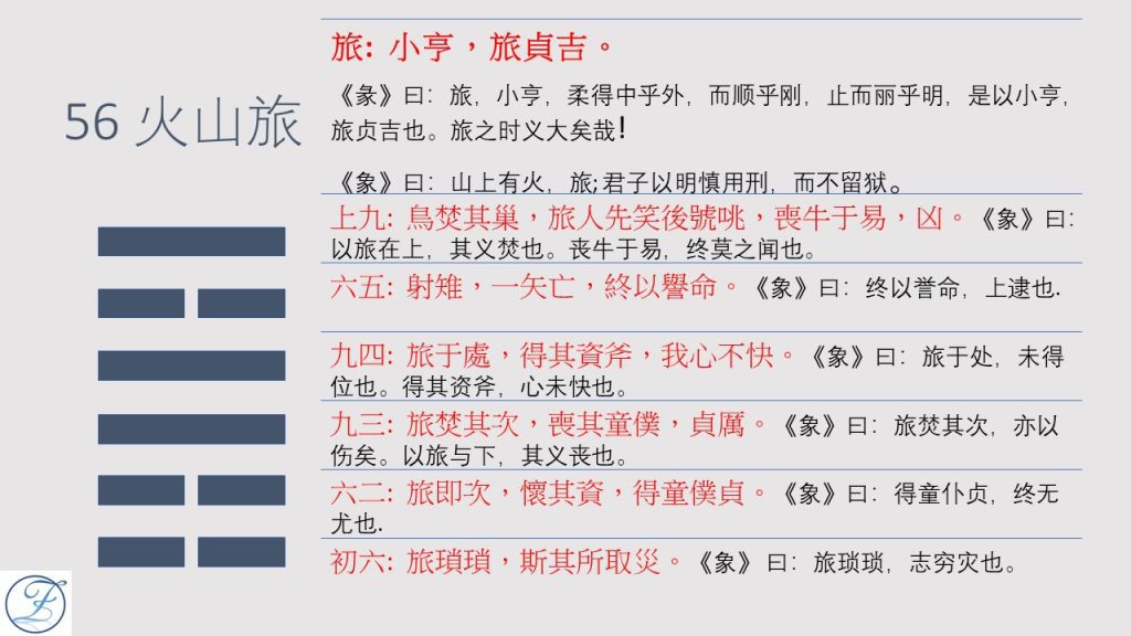 Chinese text displaying educational content on primary school vocabulary and idioms.